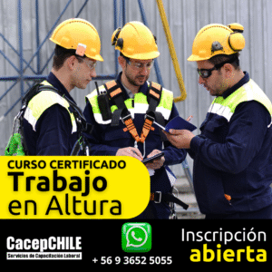 miniatura del curso
